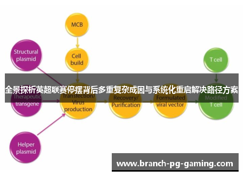 全景探析英超联赛停摆背后多重复杂成因与系统化重启解决路径方案 全景探析英超联赛停摆背后多重复杂成因与系统化重启解决路径方案
