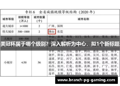 美冠杯属于哪个级别？深入解析为中心，拟1个新标题