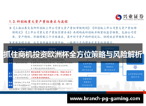 抓住商机投资欧洲杯全方位策略与风险解析