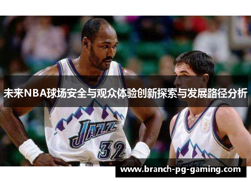 未来NBA球场安全与观众体验创新探索与发展路径分析