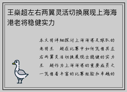 王燊超左右两翼灵活切换展现上海海港老将稳健实力