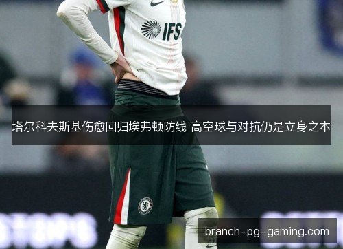 塔尔科夫斯基伤愈回归埃弗顿防线 高空球与对抗仍是立身之本